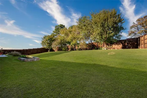 a view of a field with of trees