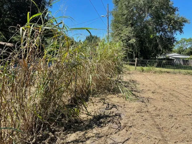 $65,000 | 2219 Grant Avenue, Eustis, FL 32726