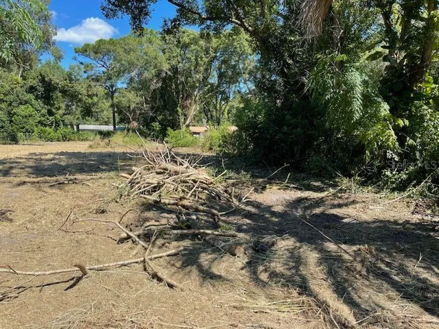 $65,000 | 2219 Grant Avenue, Eustis, FL 32726