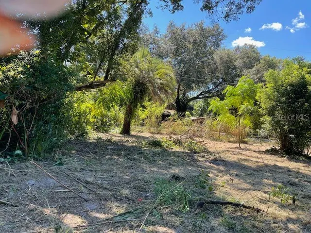 $65,000 | 2219 Grant Avenue, Eustis, FL 32726