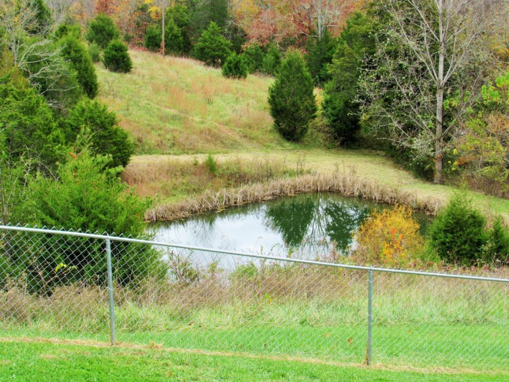 3980 Little Warrensburg Road Midway, TN 37809 - Photo 16 of 23 View from deck