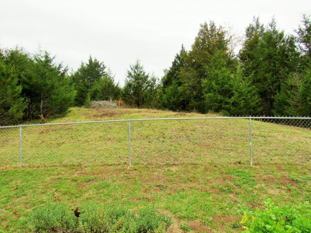 3980 Little Warrensburg Road Midway, TN 37809 - Photo 20 of 23 Back yard