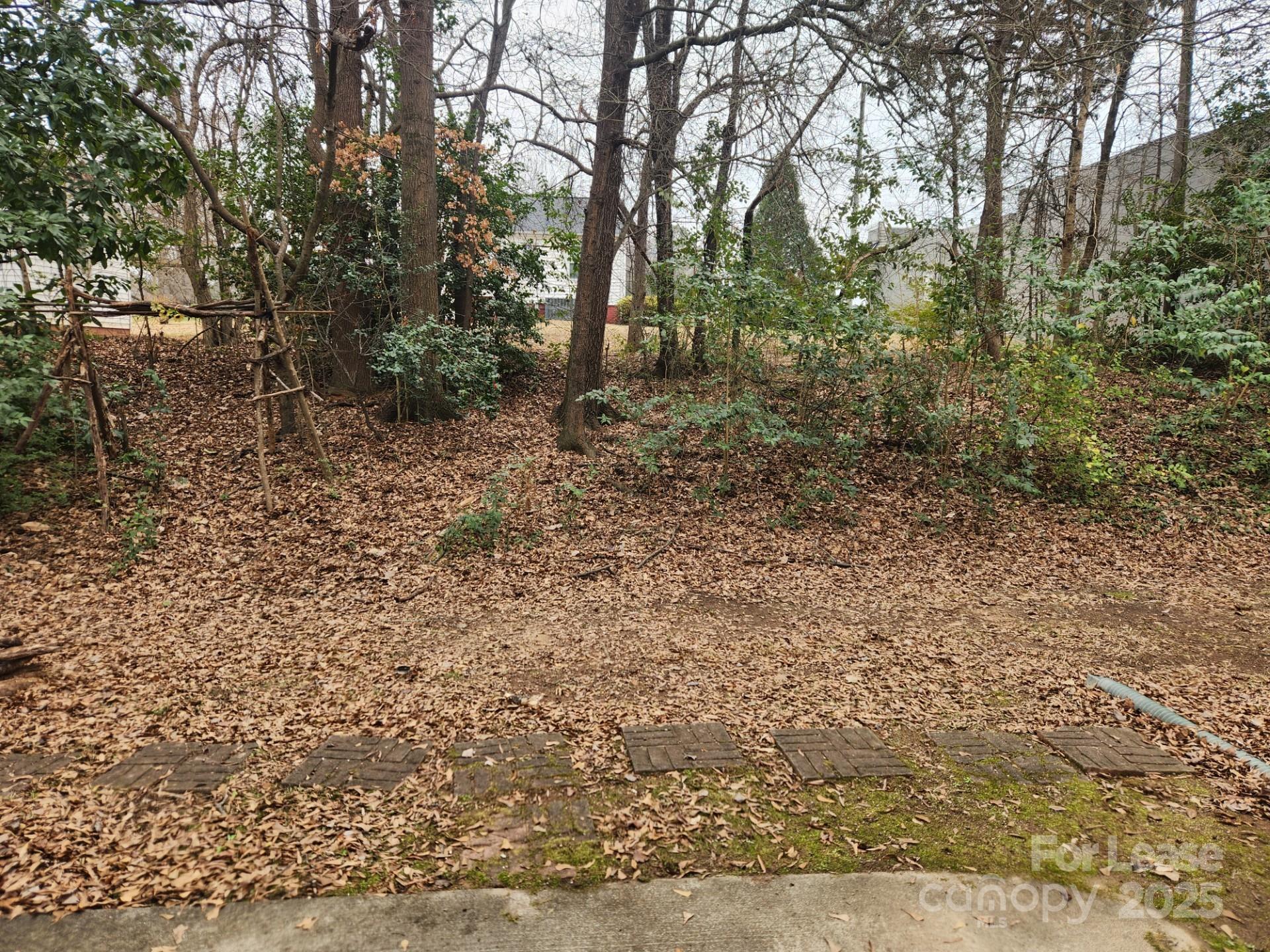 157 Pounds Avenue Southwest Concord, NC 28025 - Photo 15 of 15 a big yard with lots of green space