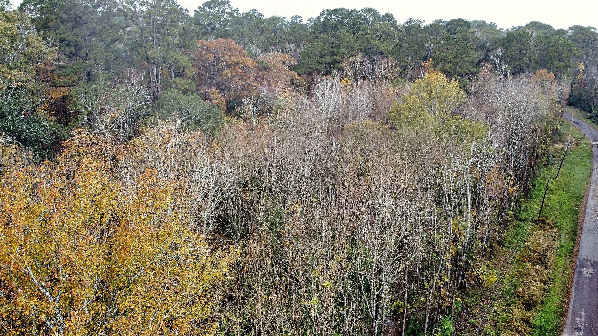 12651 Royal Creek Road Conroe, TX 77303 - Photo 11 of 13 a view of a lake with lots of green space