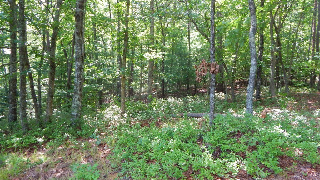 14.89-ac Hot House Road Murphy, NC 28906 - Photo 17 of 19