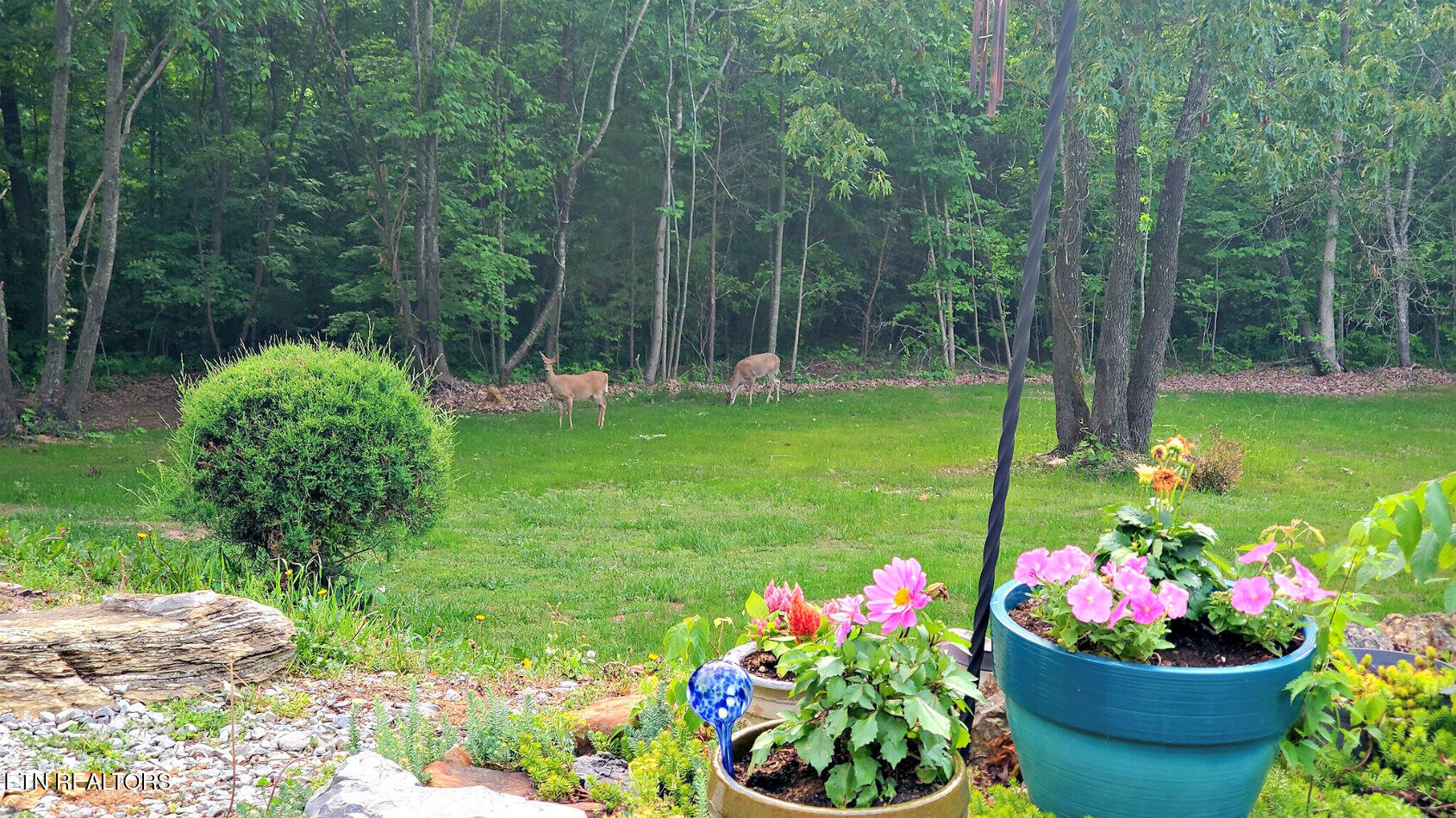 358 Hebron Church Road Jefferson City, TN 37760 - Photo 47 of 51 Hebron Church 3