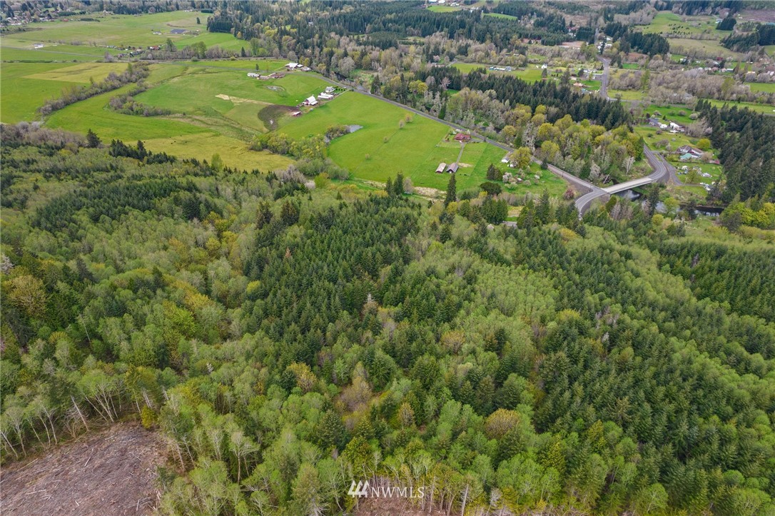 139 Doty-Dryad Road Chehalis, WA 98532 - Photo 37 of 40