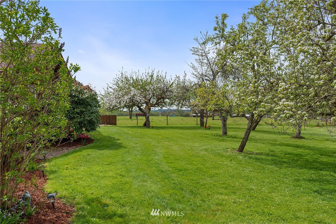 139 Doty-Dryad Road Chehalis, WA 98532 - Photo 8 of 40