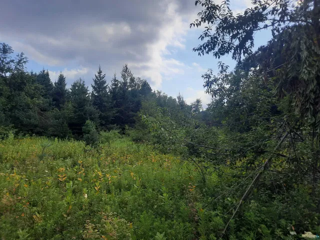 $13,900 | Birchwood Lane, Ladysmith, WI 54848