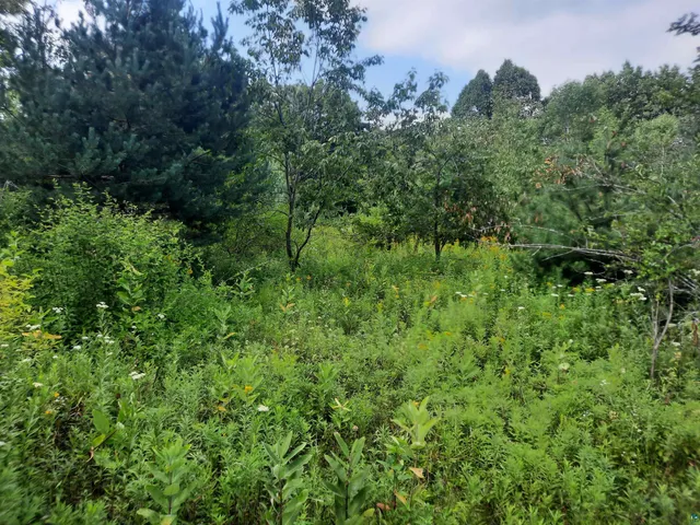 $13,900 | Birchwood Lane, Ladysmith, WI 54848