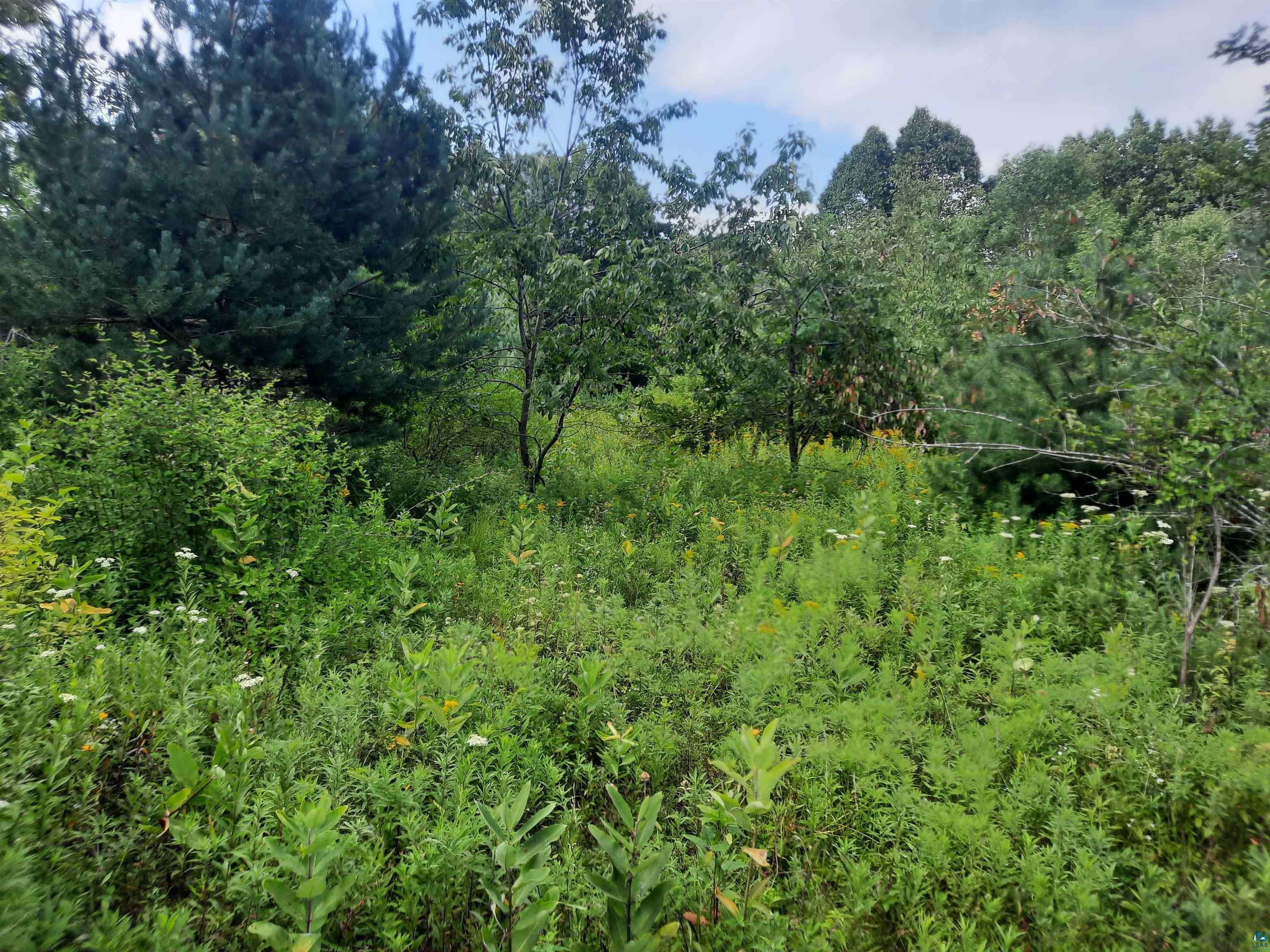 Birchwood Lane Ladysmith, WI 54848 - Photo 2 of 7