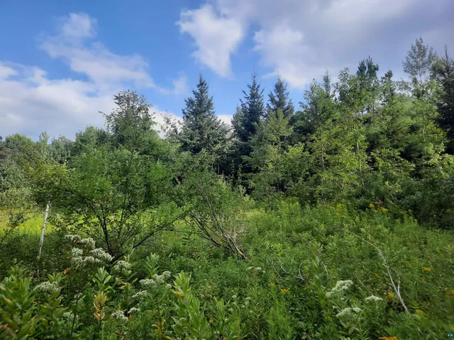 $13,900 | Birchwood Lane, Ladysmith, WI 54848