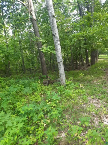 $13,900 | Birchwood Lane, Ladysmith, WI 54848