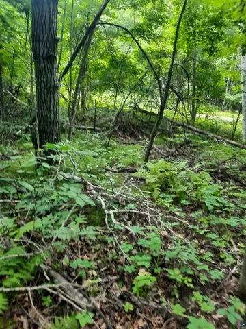 $13,900 | Birchwood Lane, Ladysmith, WI 54848