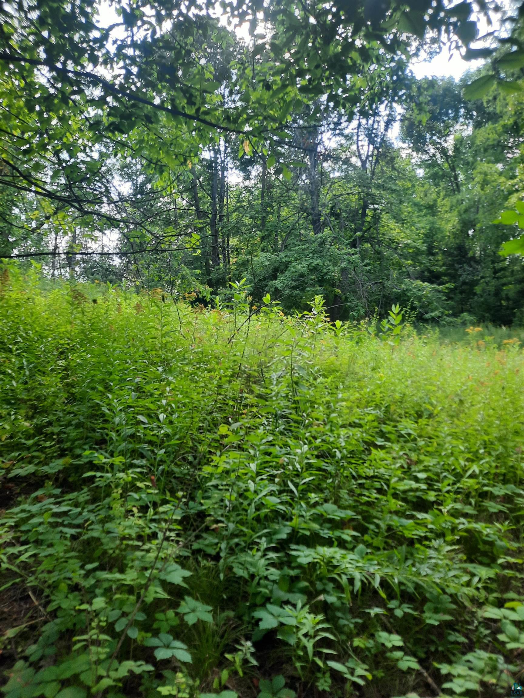 Birchwood Lane Ladysmith, WI 54848 - Photo 6 of 7