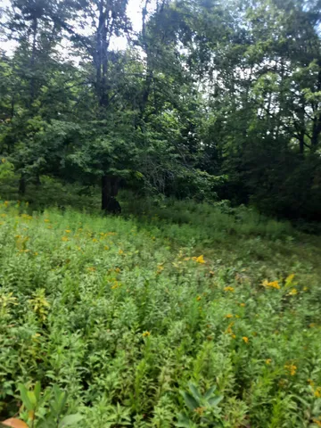 $13,900 | Birchwood Lane, Ladysmith, WI 54848