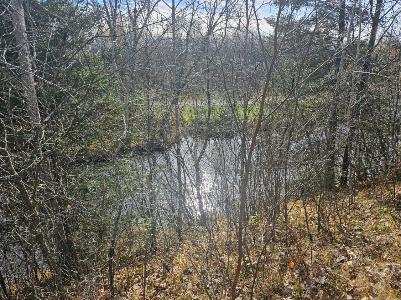 On Morner Road Prentice, WI 54556 - Photo 11 of 16 Gallery Image 11