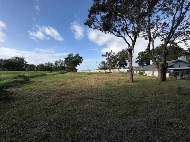 a view of a tree in a yard