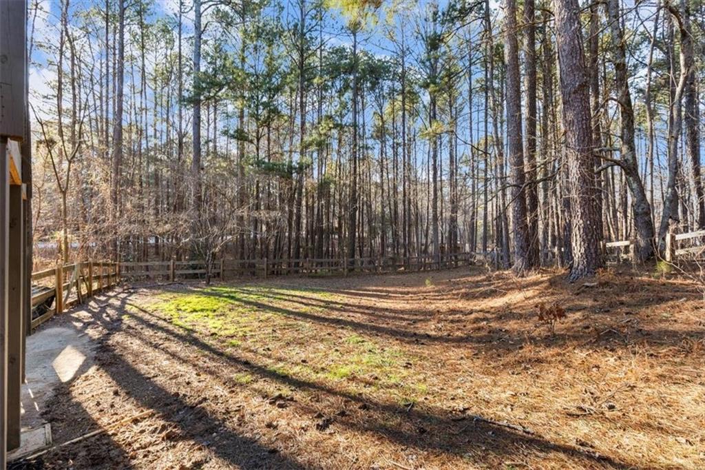 346 Pickett's Crossing Acworth, GA 30101 - Photo 37 of 43