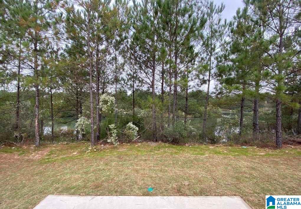 11416 Crimson Ridge Road Brookwood, AL 35444 - Photo 23 of 23
