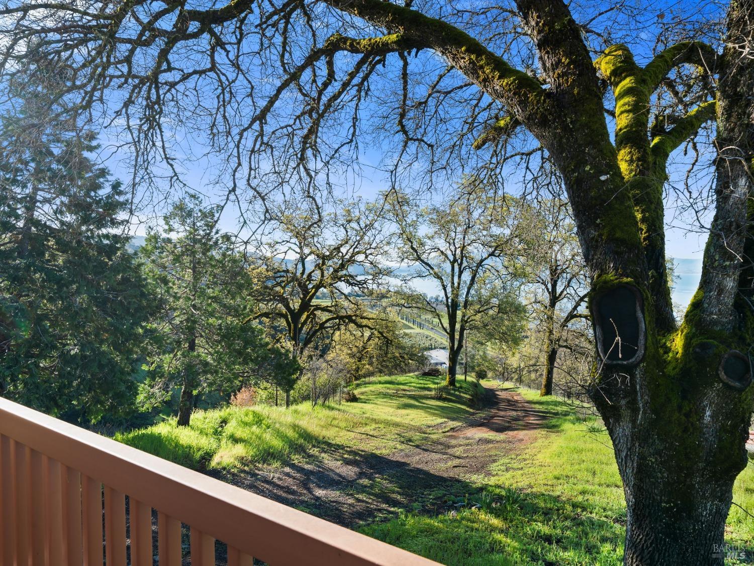 4950 Bartlett Springs Road Nice, CA 95464 - Photo 41 of 61