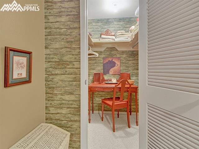 9455 Shoshone Road Cascade, CO 80809 - Photo 23 of 30 Walk in Closet in Downstairs Bedroom