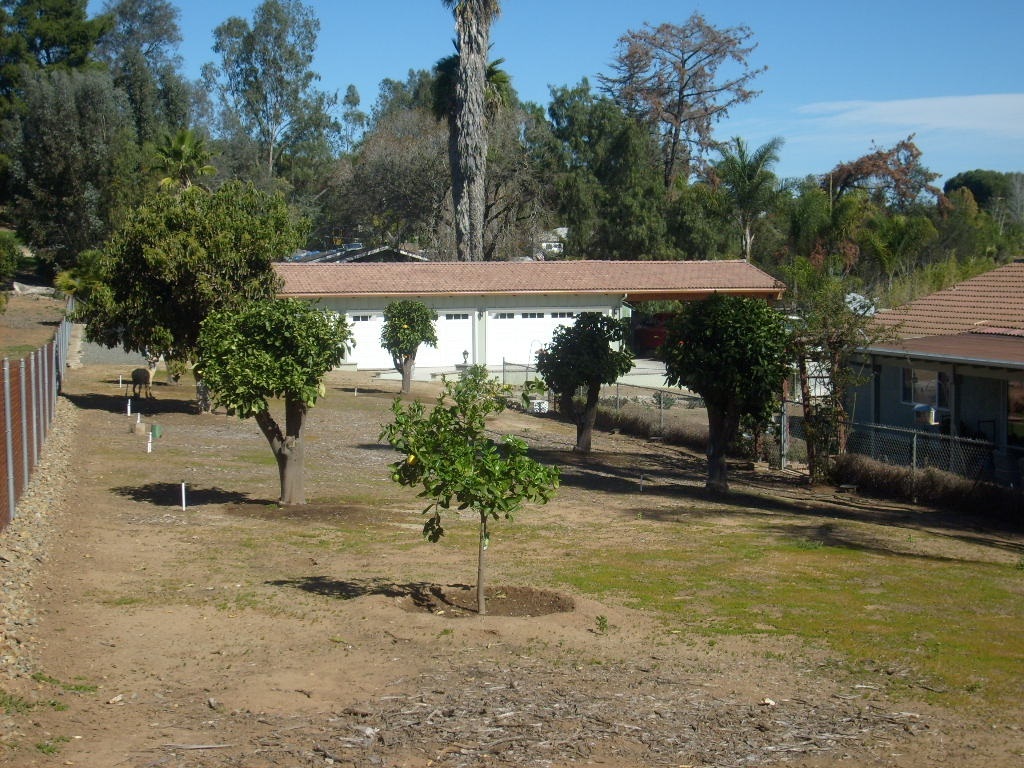 4257 Sleeping Indian Road Fallbrook, CA 92028 - Photo 9 of 25