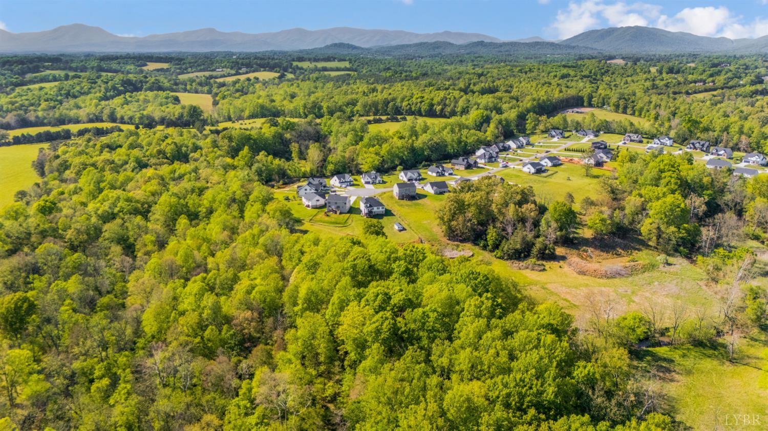 1192 Elk Creek Road Forest, VA 24551 - Photo 85 of 89