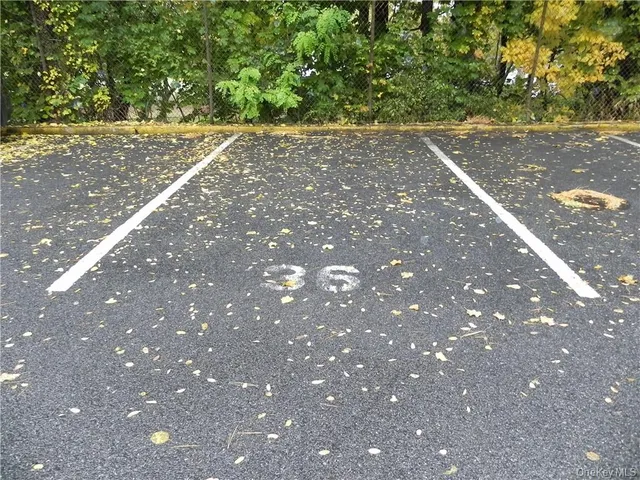a view of a tree in a yard