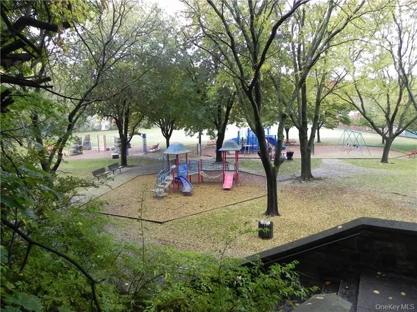 a view of a yard with tree s