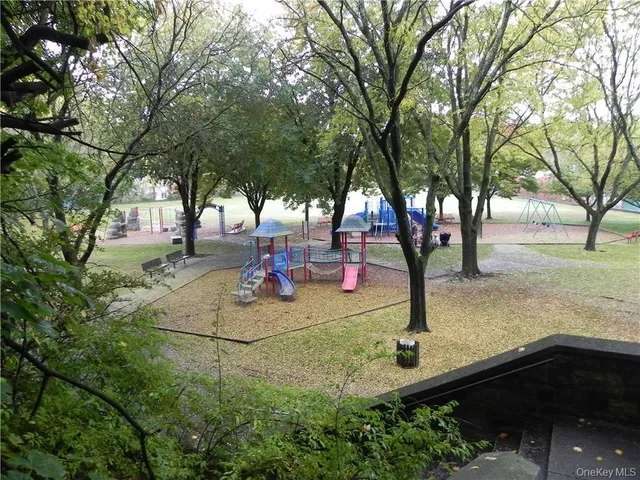 a view of a yard with tree s
