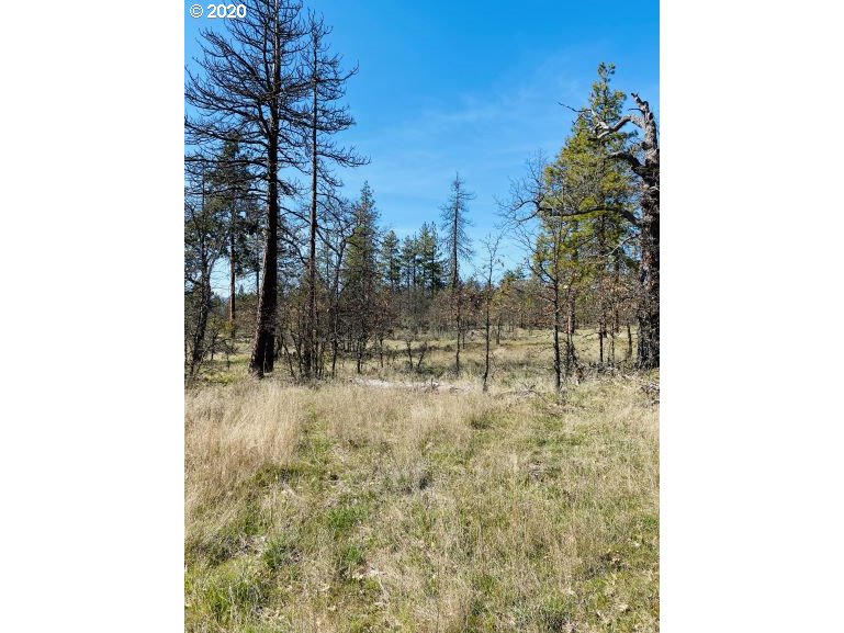 350 Deyoe Cutoff Road Goldendale, WA 98620 - Photo 11 of 19 Gallery Image 11
