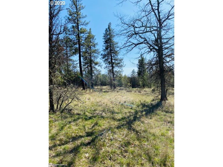 350 Deyoe Cutoff Road Goldendale, WA 98620 - Photo 12 of 19 Gallery Image 12