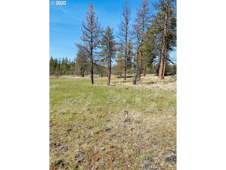 350 Deyoe Cutoff Road Goldendale, WA 98620 - Photo 13 of 19 Gallery Image 13
