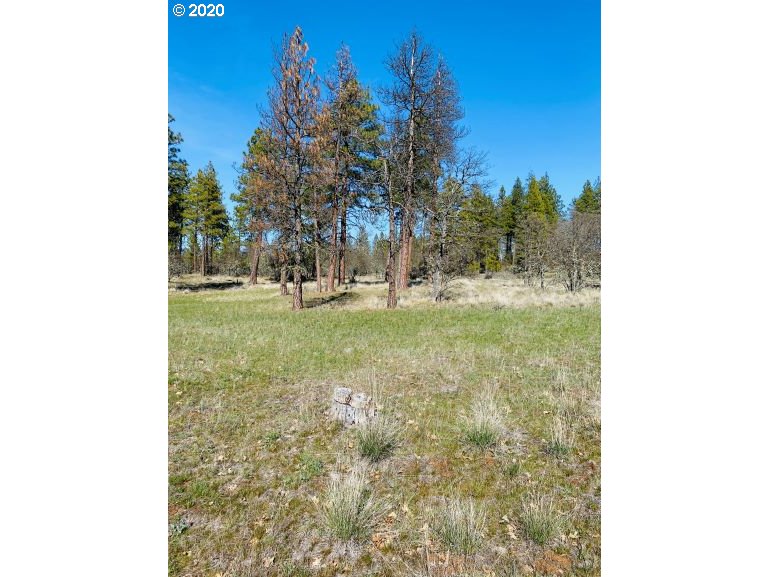350 Deyoe Cutoff Road Goldendale, WA 98620 - Photo 14 of 19 Gallery Image 14