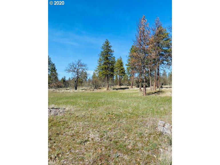 350 Deyoe Cutoff Road Goldendale, WA 98620 - Photo 15 of 19 Gallery Image 15