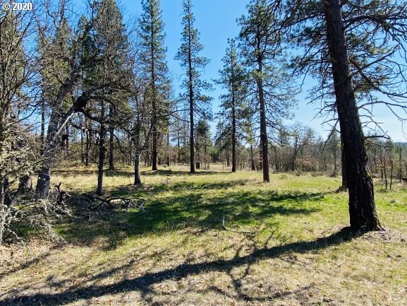 350 Deyoe Cutoff Road Goldendale, WA 98620 - Photo 8 of 19 Gallery Image 8