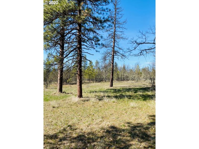 350 Deyoe Cutoff Road Goldendale, WA 98620 - Photo 9 of 19 Gallery Image 9