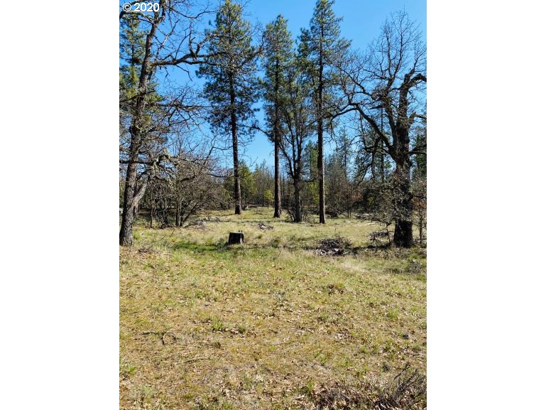 350 Deyoe Cutoff Road Goldendale, WA 98620 - Photo 10 of 19 Gallery Image 10
