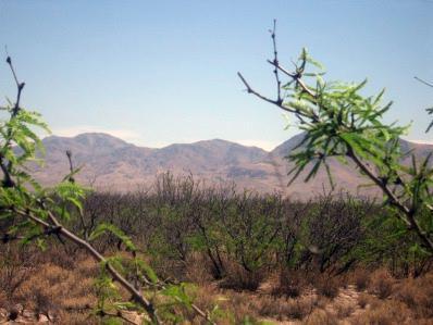 0 East Sulphur Canyon Road San Simon, AZ 85632 - Photo 4 of 8