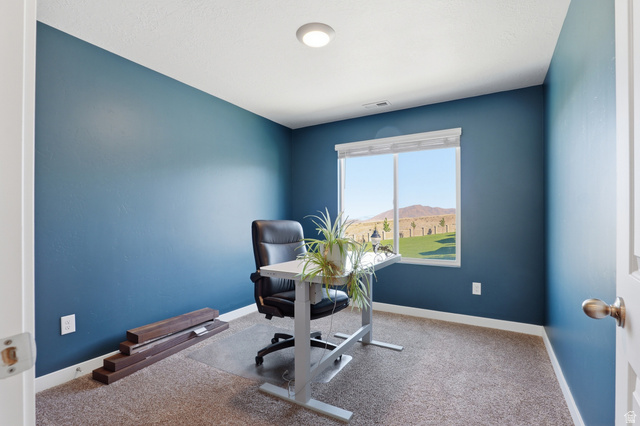 629 West Raintree Lane Santaquin, UT 84655 - Photo 16 of 32