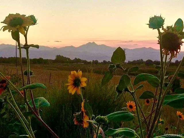 $2,600,000 | 2832 County Road 20, Longmont, CO 80504