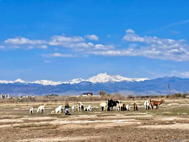 $2,600,000 | 2832 County Road 20, Longmont, CO 80504