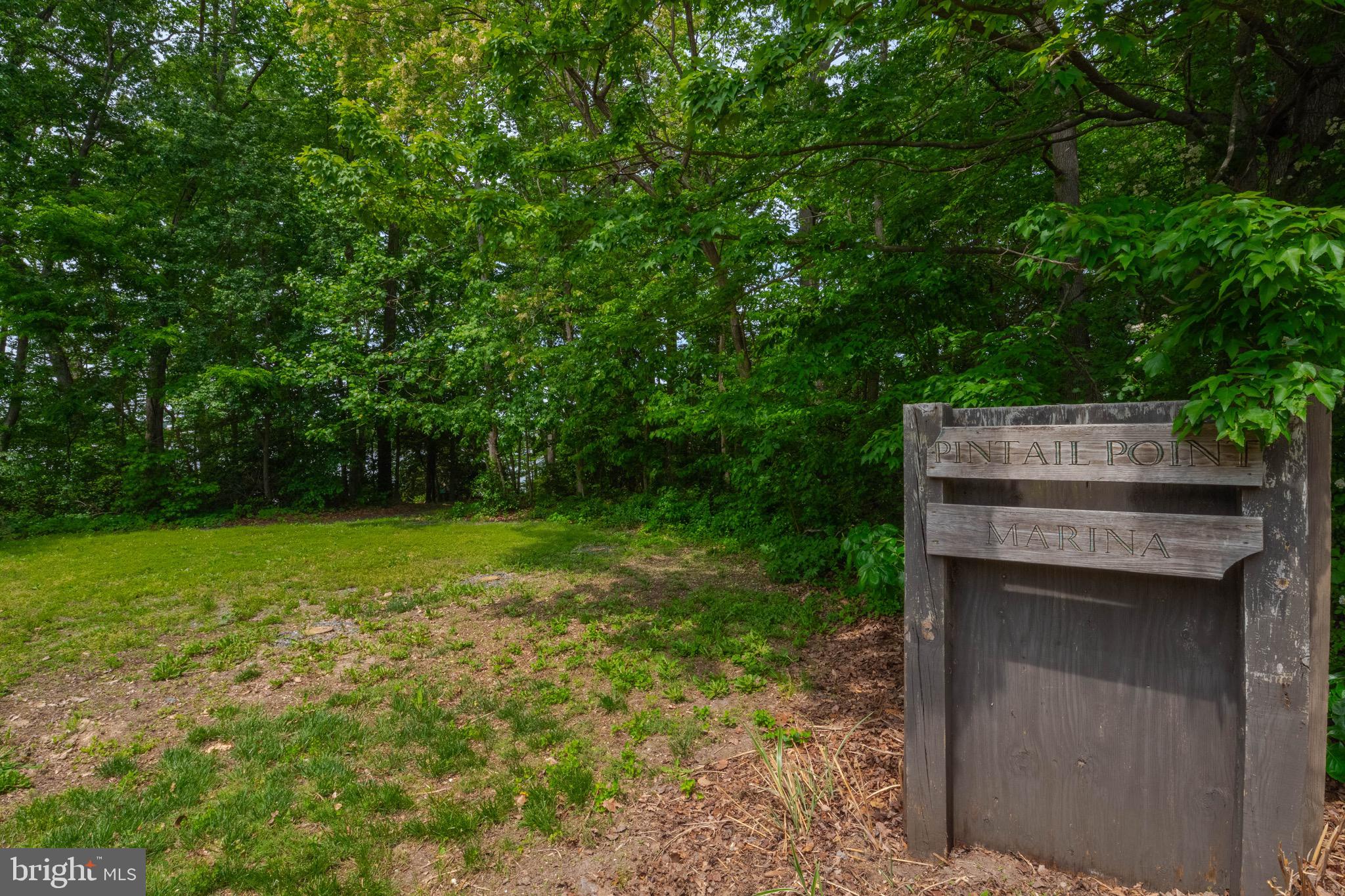 1705 Church Point Court Aberdeen, MD 21001 - Photo 48 of 86 a backyard of a house with lots of green space