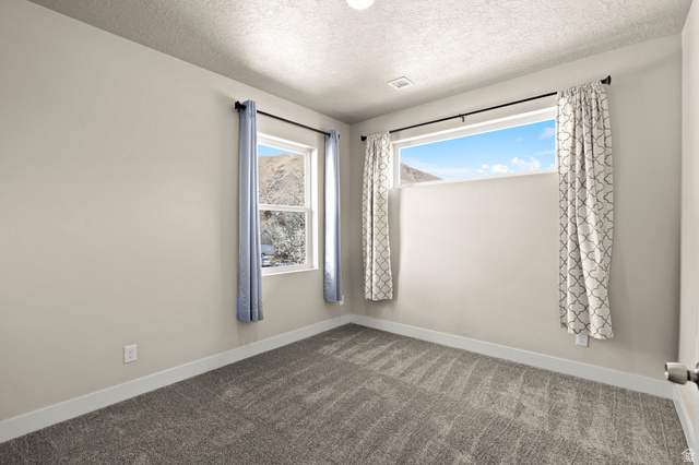 1096 Valley Sage Drive Springville, UT 84663 - Photo 39 of 86