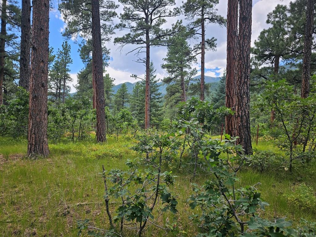 1 Zorn Road Rye, CO 81069 - Photo 2 of 9