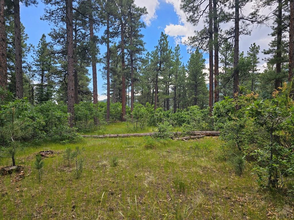 1 Zorn Road Rye, CO 81069 - Photo 3 of 9