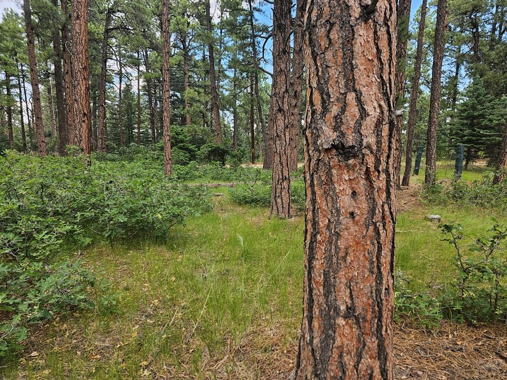 1 Zorn Road Rye, CO 81069 - Photo 5 of 9