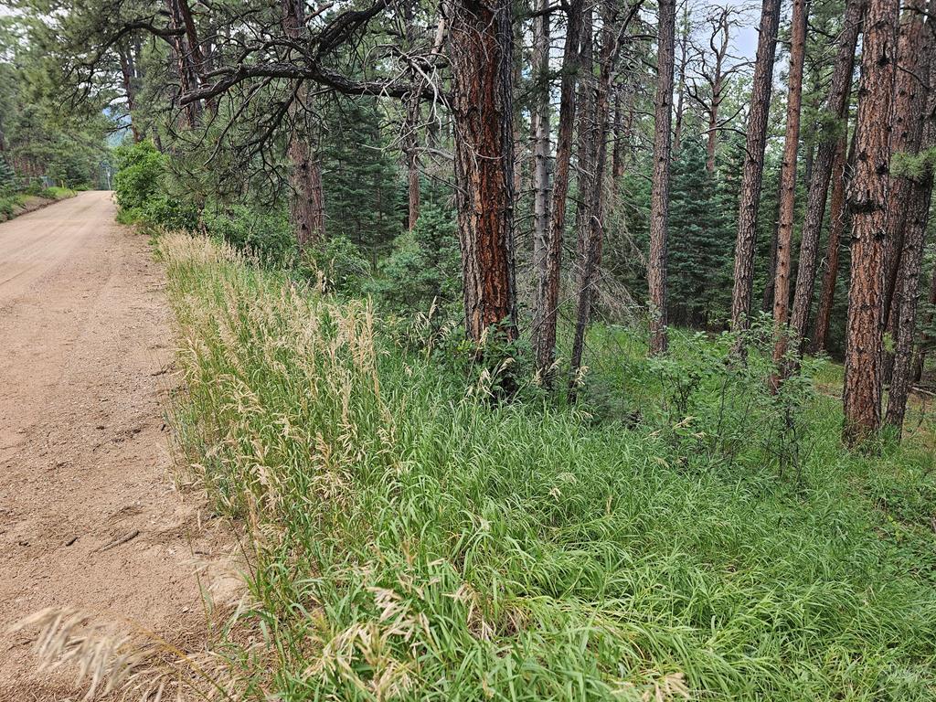1 Zorn Road Rye, CO 81069 - Photo 8 of 9