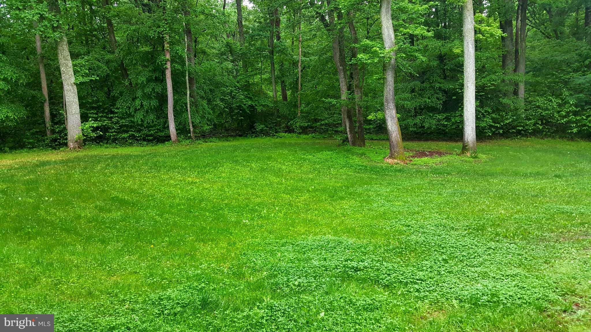 Lots of flat yard space for gardening or playing